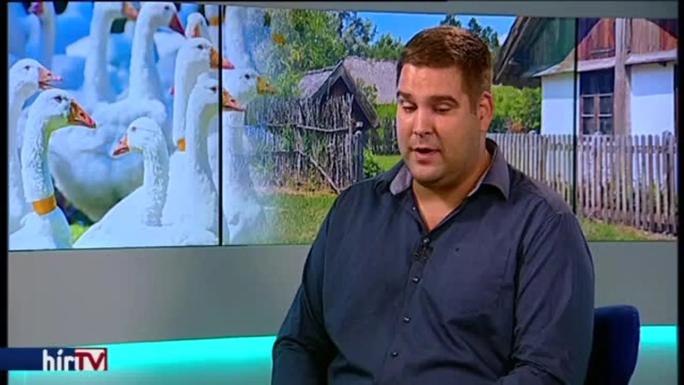 Reggeli járat – Márton-napi népszokások