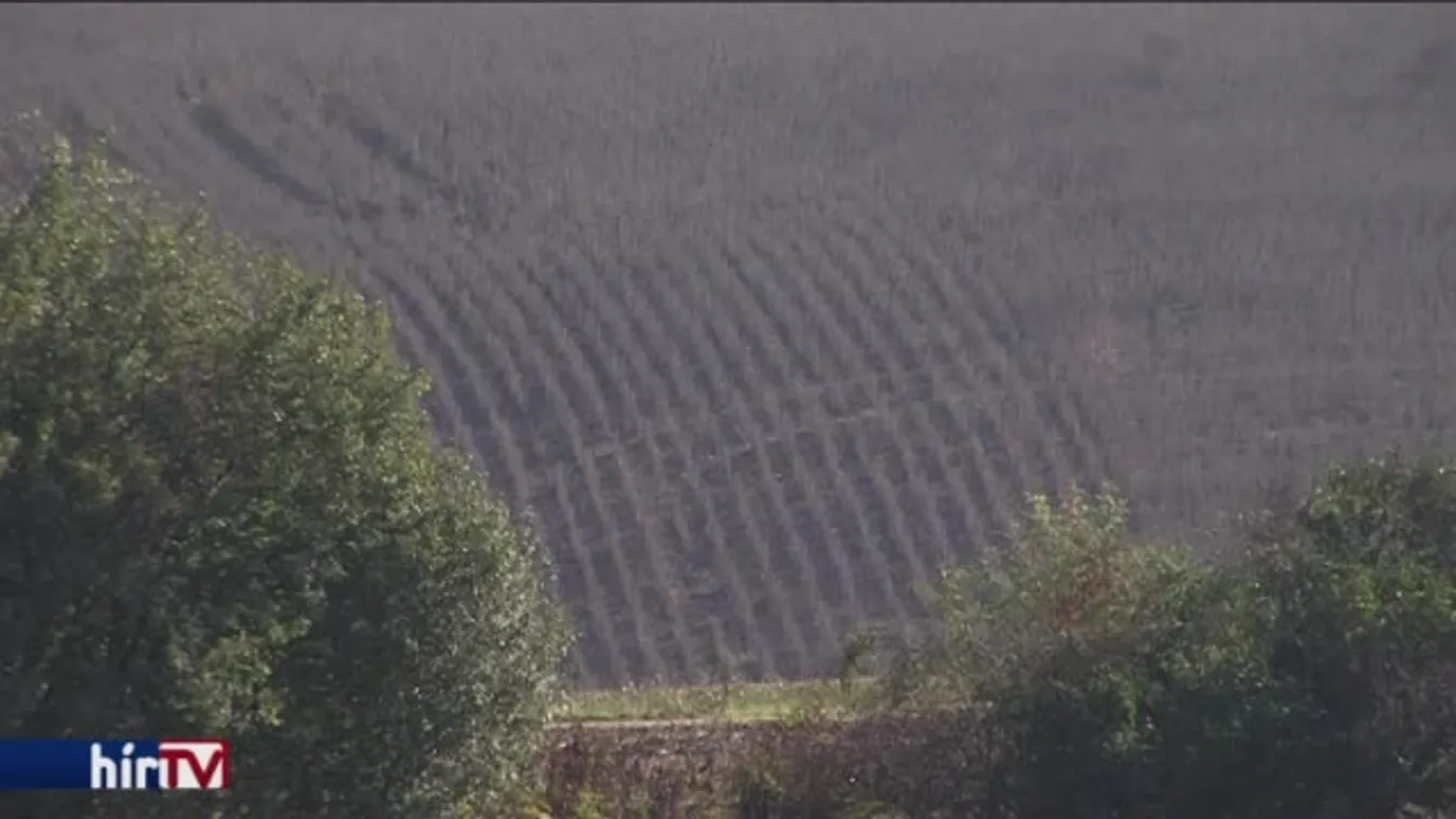 Földbérleti díj: az államtitkár és a Jobbik egyetért