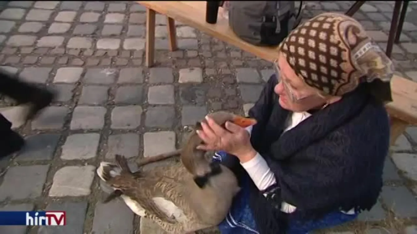 Ünnep: csokornyakkendős libák, finom borok