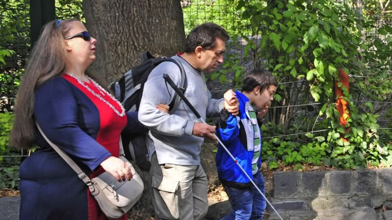 Szülei szeme II. rész – Vetítő