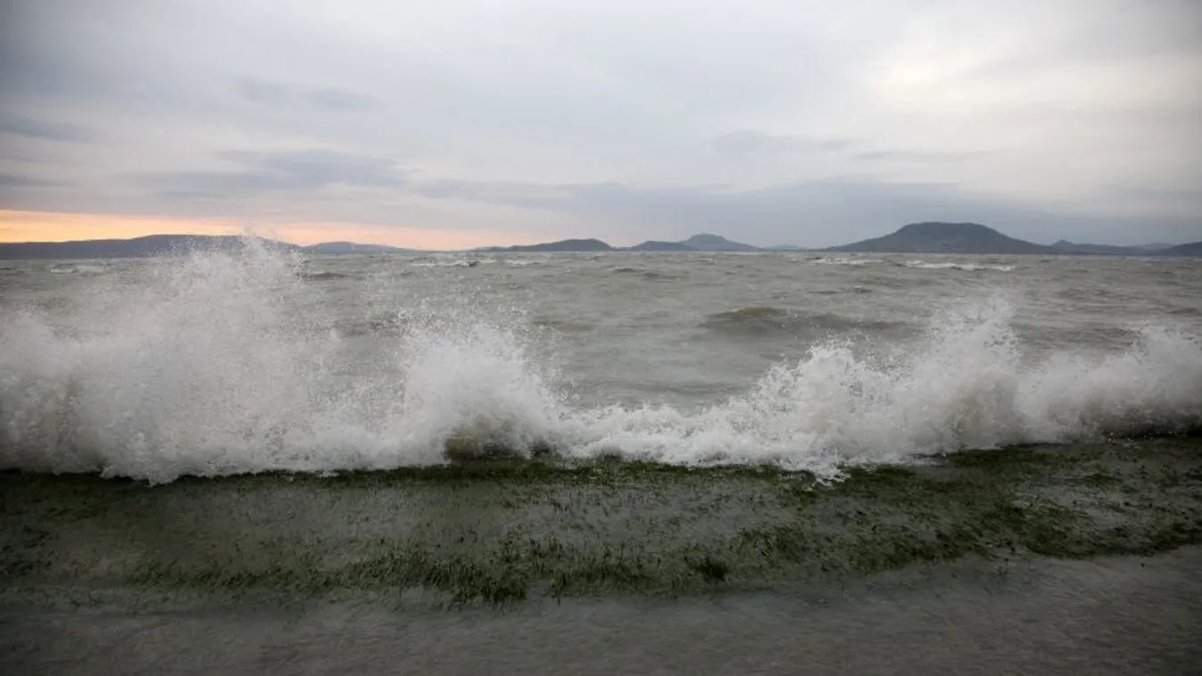 630 kiló süllőt engedtek a Balatonba