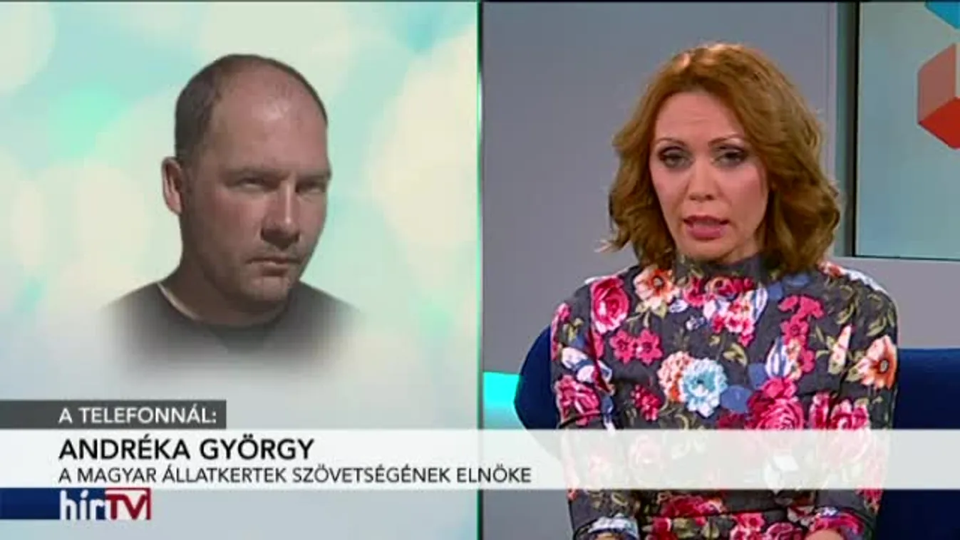 Reggeli járat – Kilőtt farkas: felfüggesztik a Pécsi Állatkert tagságát