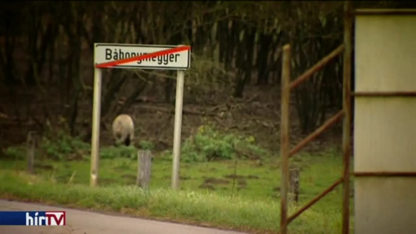 Látótér – Földátverés