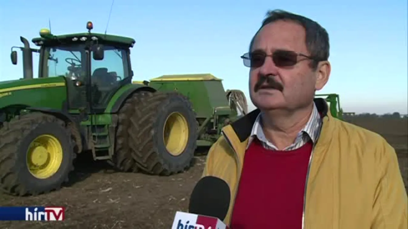 Soroló – Népszerű háztáji kertek