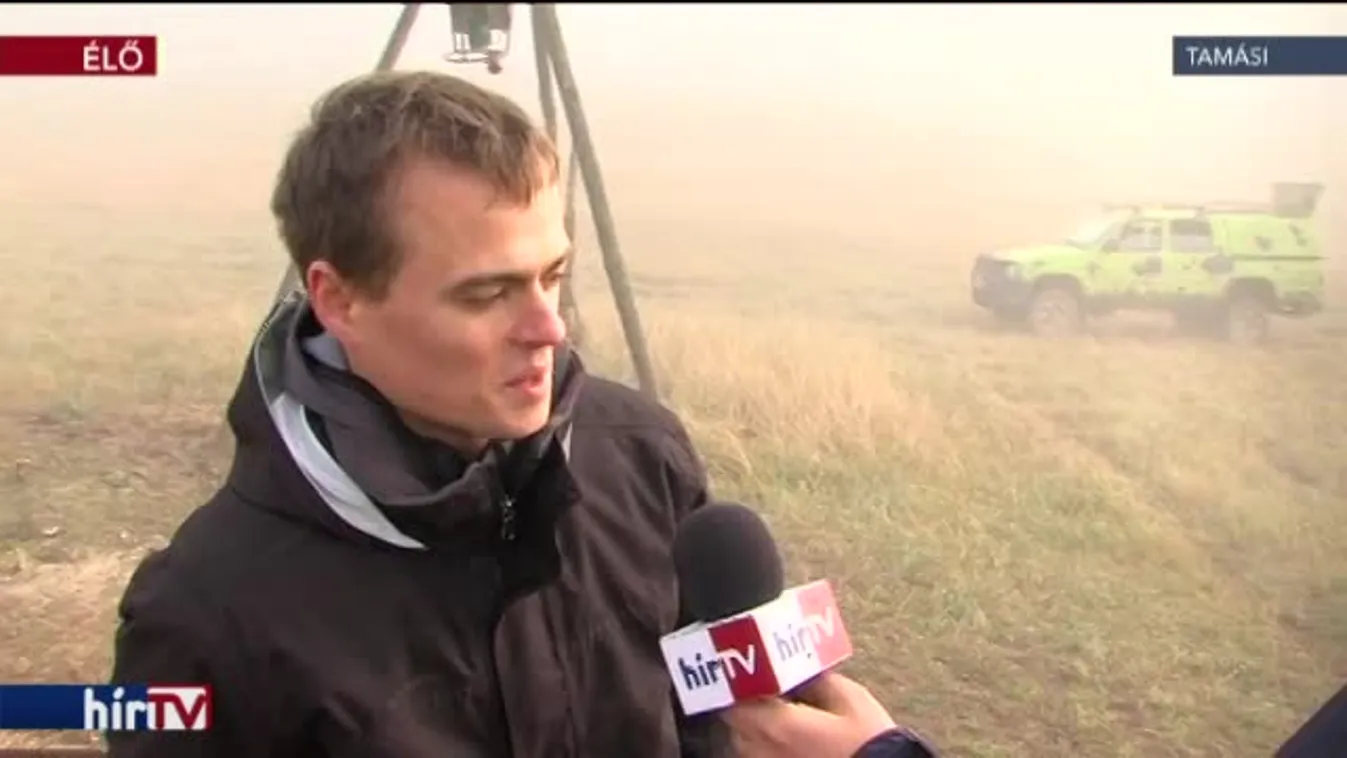 Reggeli járat – Máté Bence az év természetfotósa