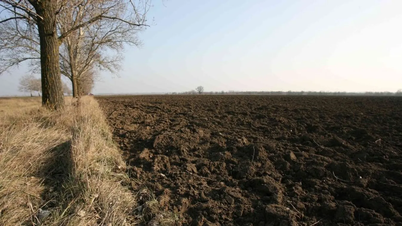 Kalász – Magyarország élőben