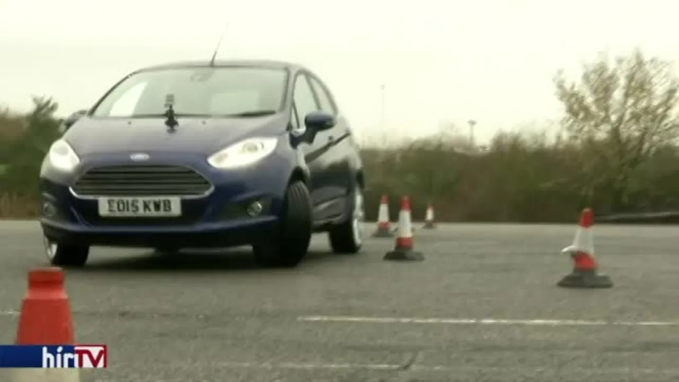 Felfedező – Mentőkutyák helyett mentőpatkányok