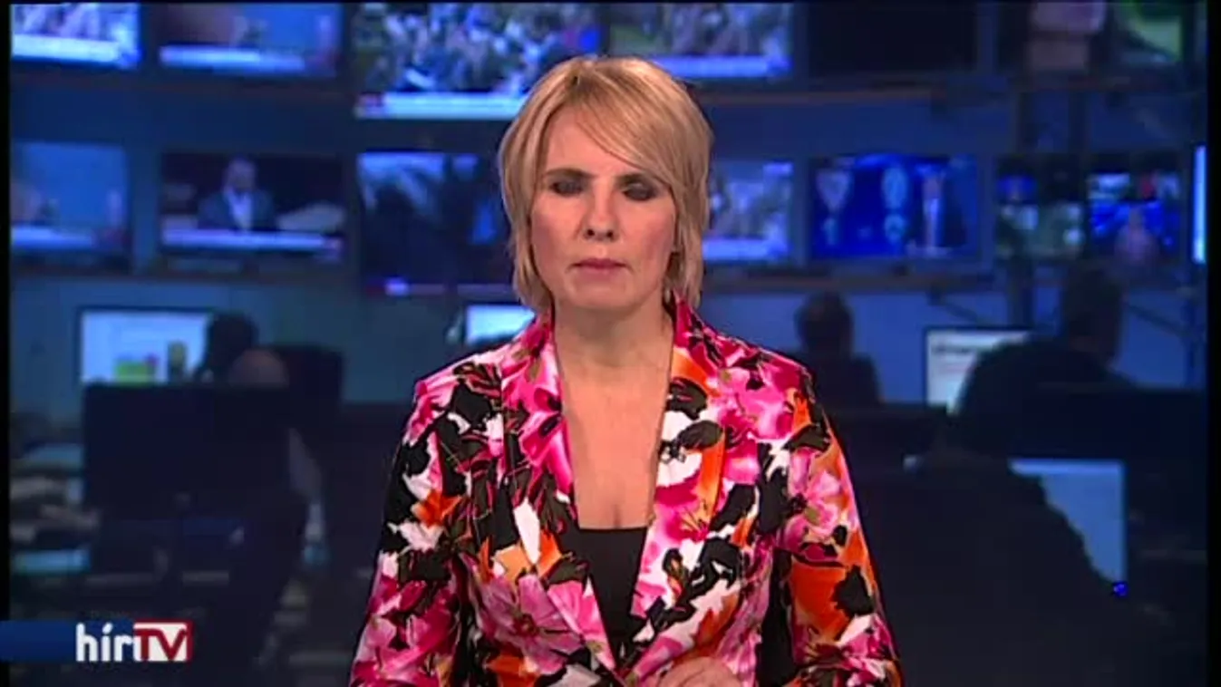 Elfogták a margitszigeti támadót