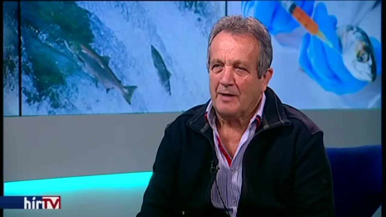 Reggeli járat – Frankenstein-lazac karácsonyra?