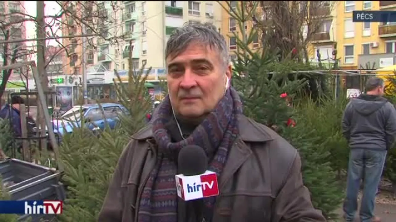 Reggeli járat - Karácsonyfát, de milyet?