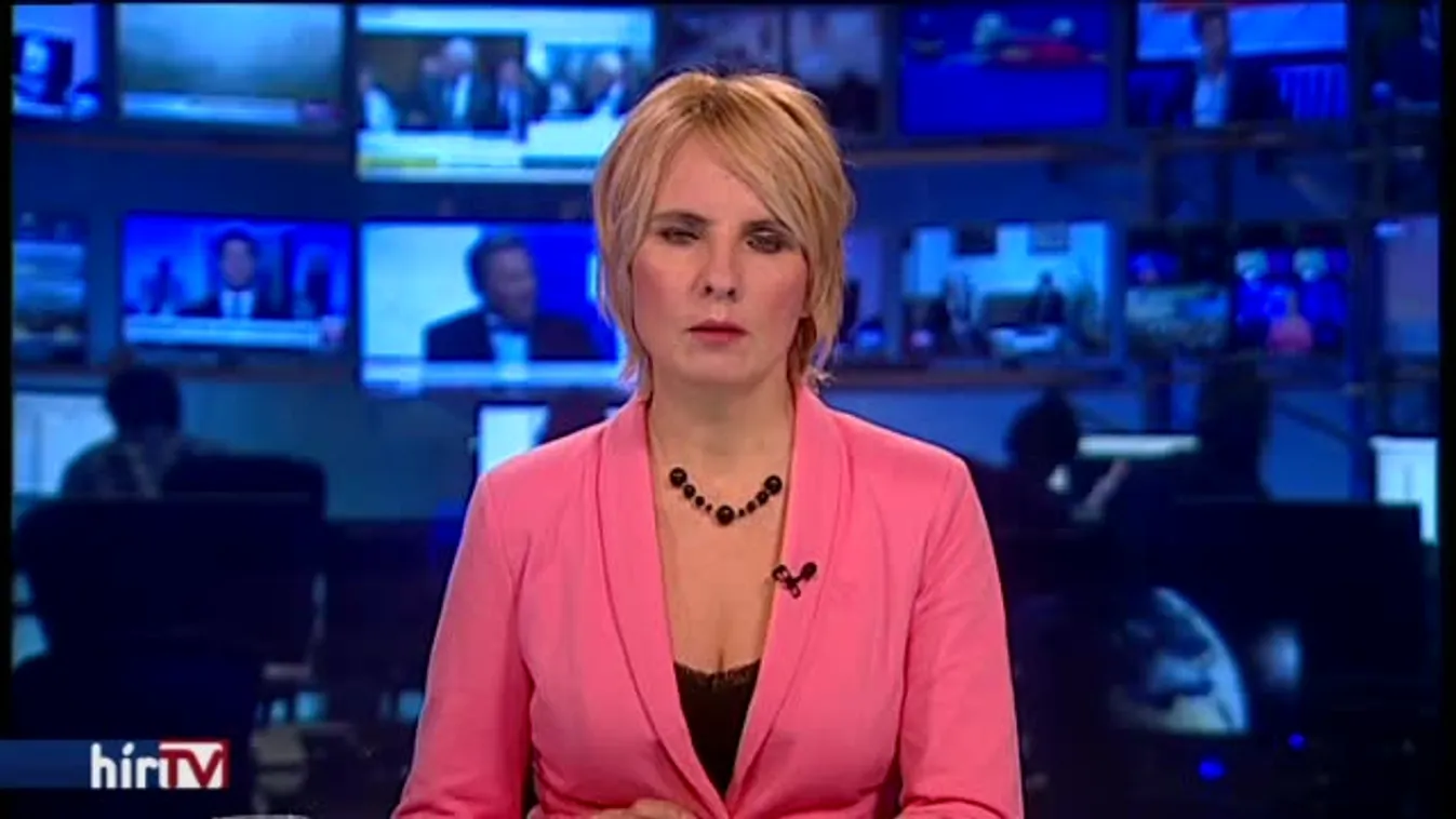 VW-botrány: a Boscht-is beperelték