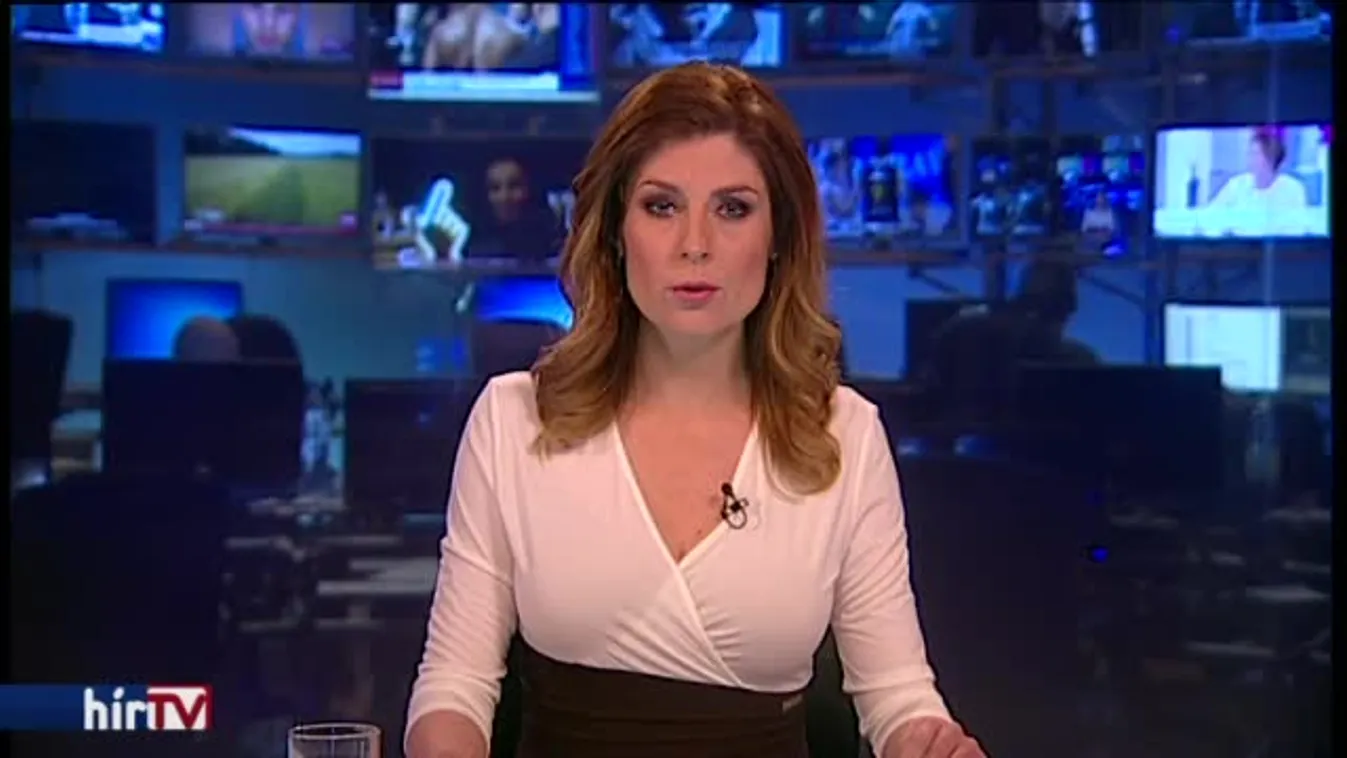 Kezdeményezték Habony vagyonosodási vizsgálatát