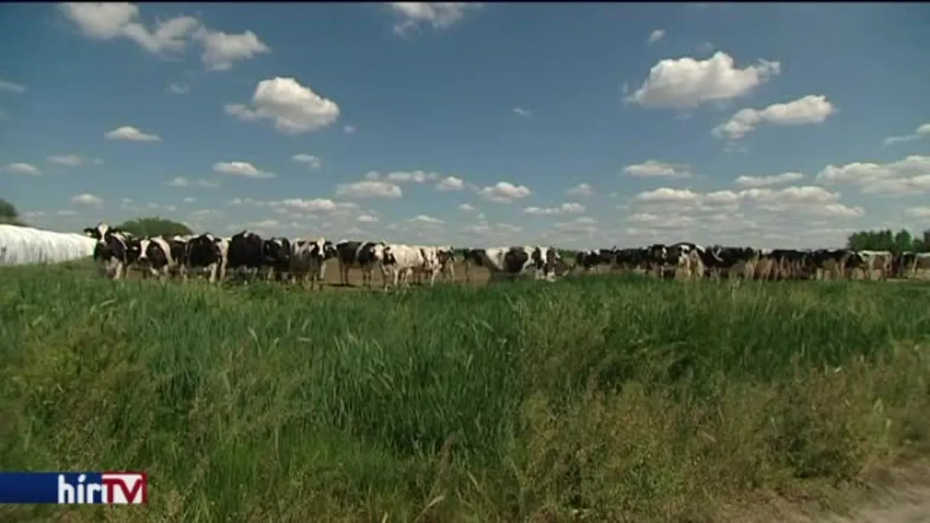 Lázár kormánygaranciát vállalt, hogy megmaradnak a munkahelyek