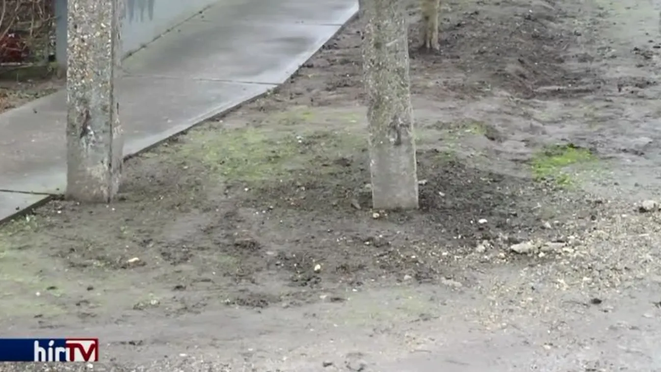 Egy 21 éves férfi holttestét találták meg Nyáregyházán