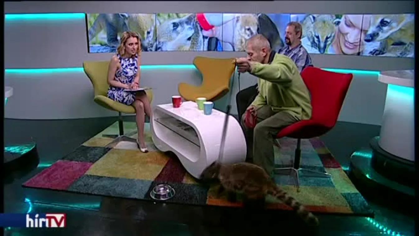 Reggeli járat – Ormányos medve a stúdióban