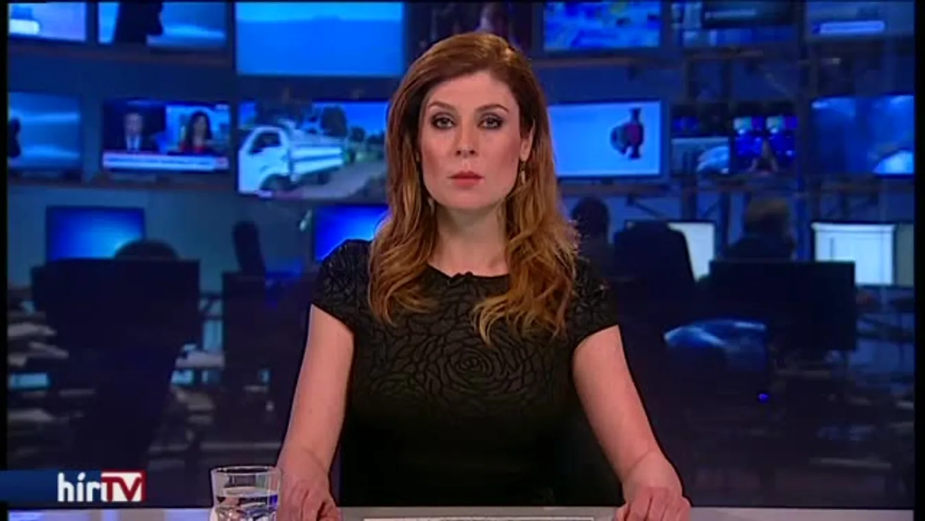 Gyurta a bizottságba készül