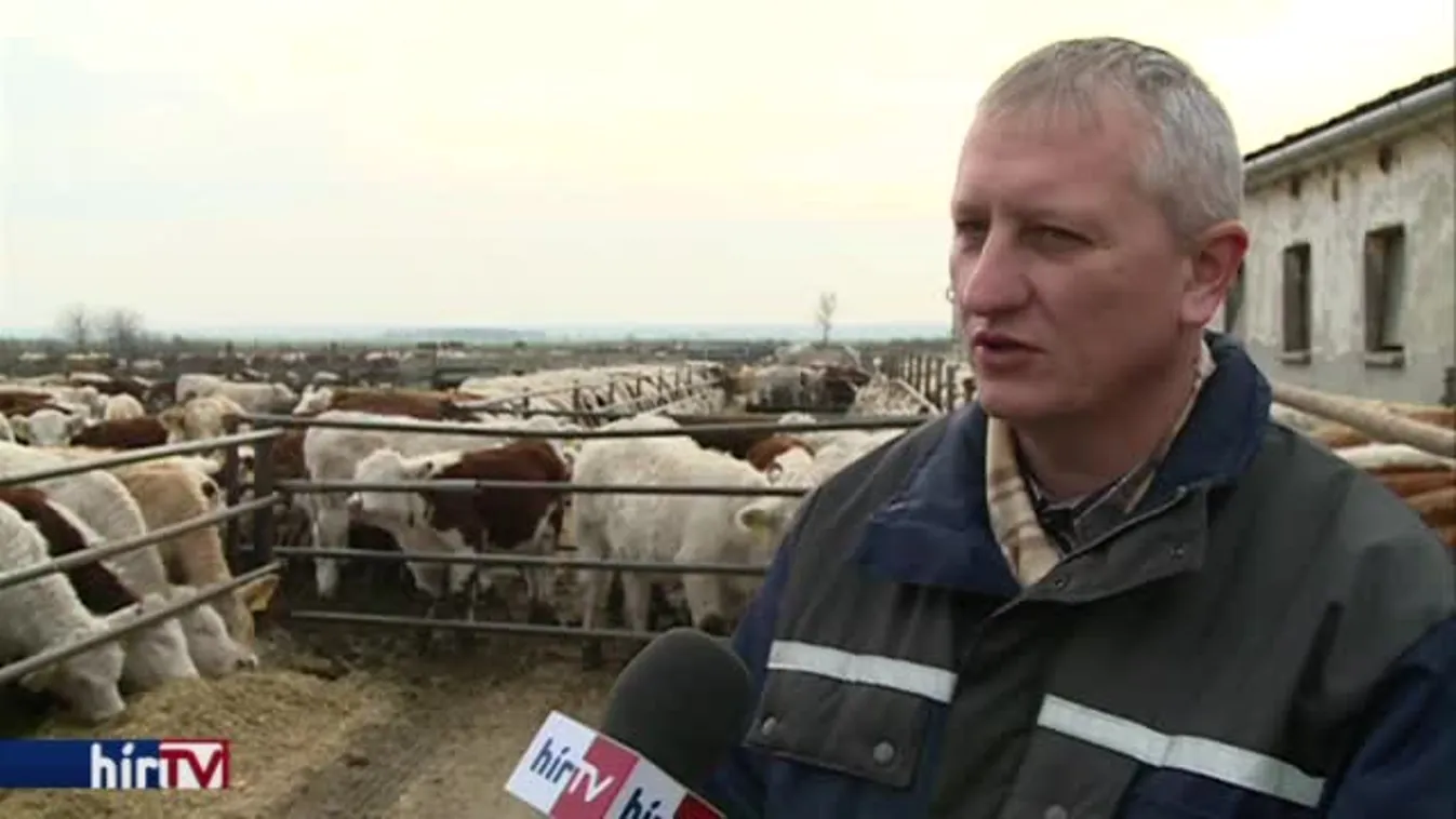 Soroló – Állami földek értékesítése