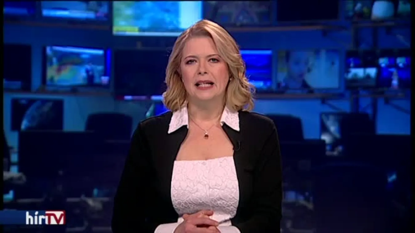 Lopott Porchét akart átvinni a határon