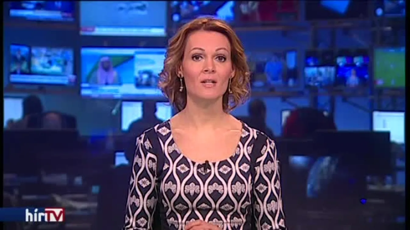 Előzetesben marad a HVIM-elnök