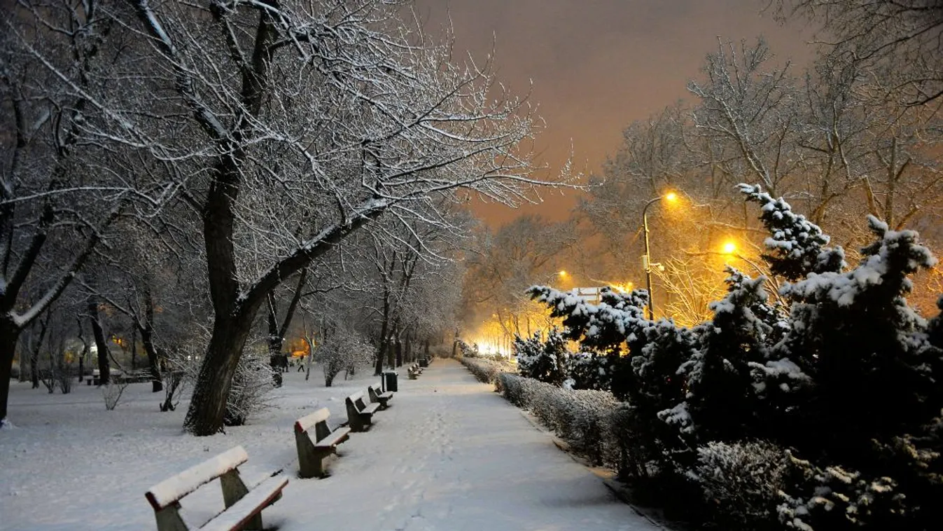 Holttestet találtak járókelők a Városligetben