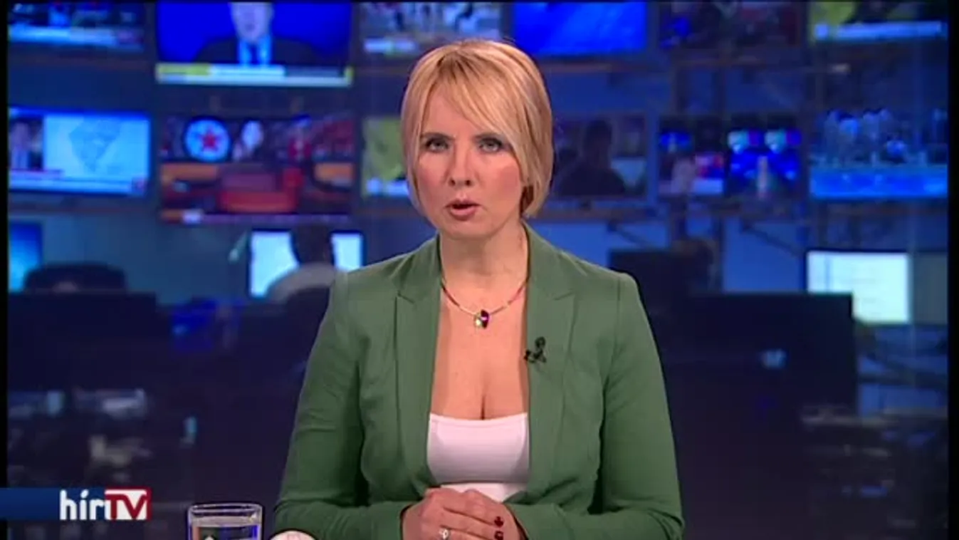 Így lett Matolcsy fia gyártulajdonos