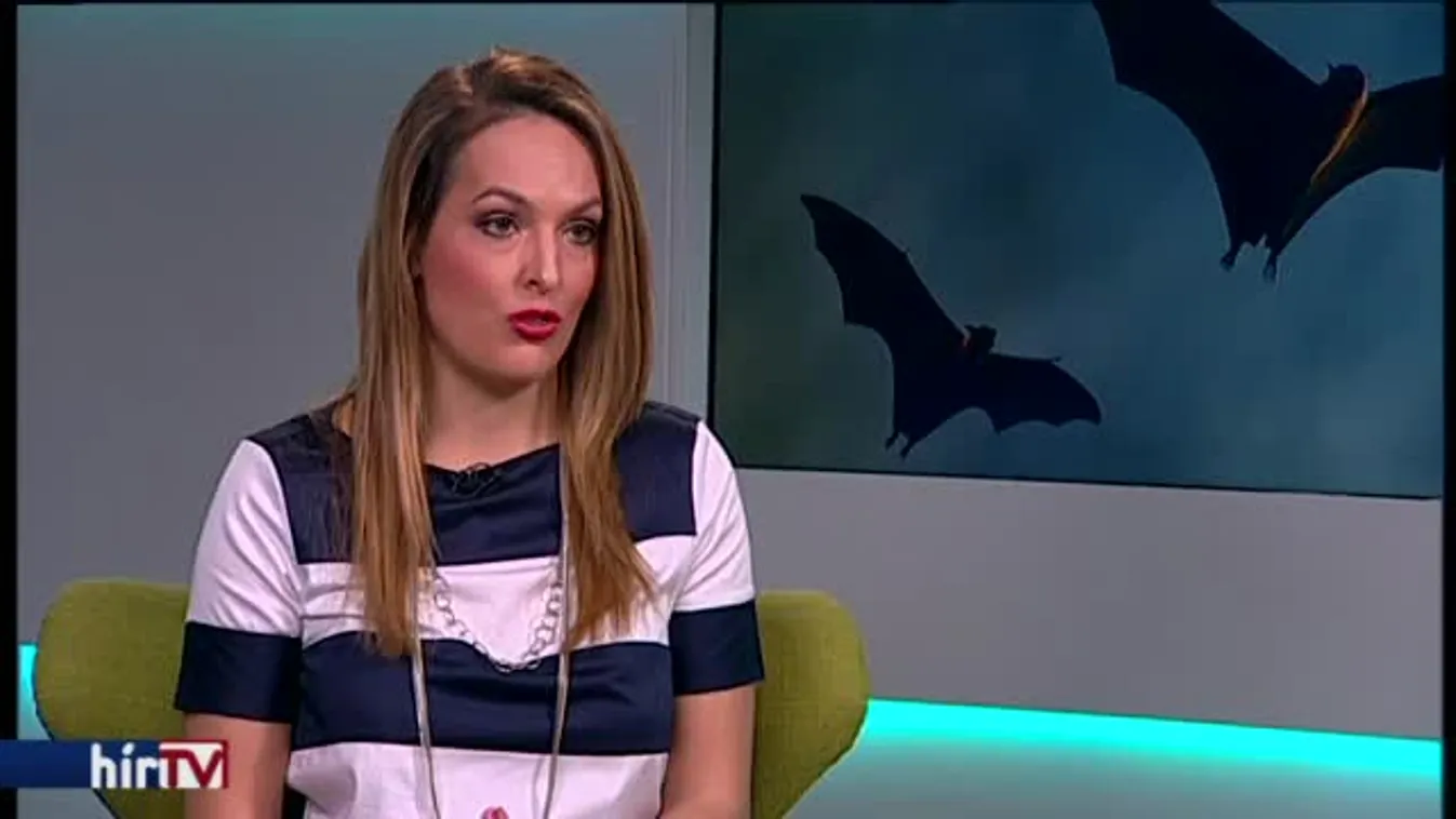 Reggeli járat - Vérszívók mindenhol