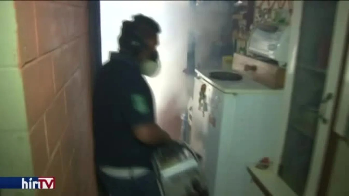 Egész Amerika veszélyben van a zikavírustól