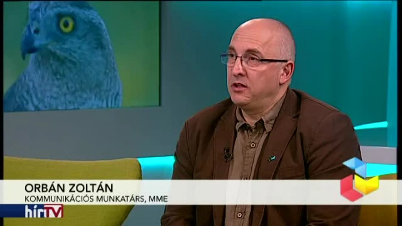 Reggeli járat – Egyre több gólya telel az országban