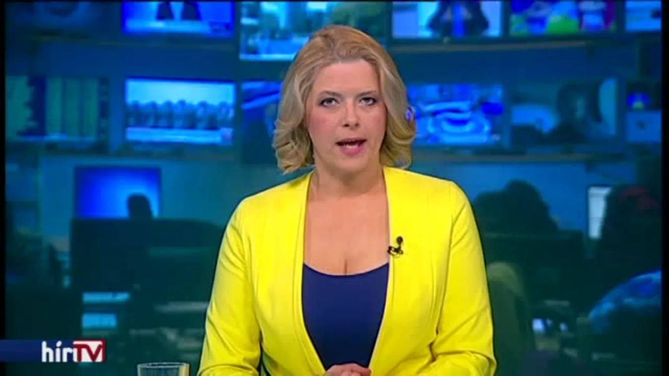 Fegyverekkel és egy Koránnal készült a Disneylandbe