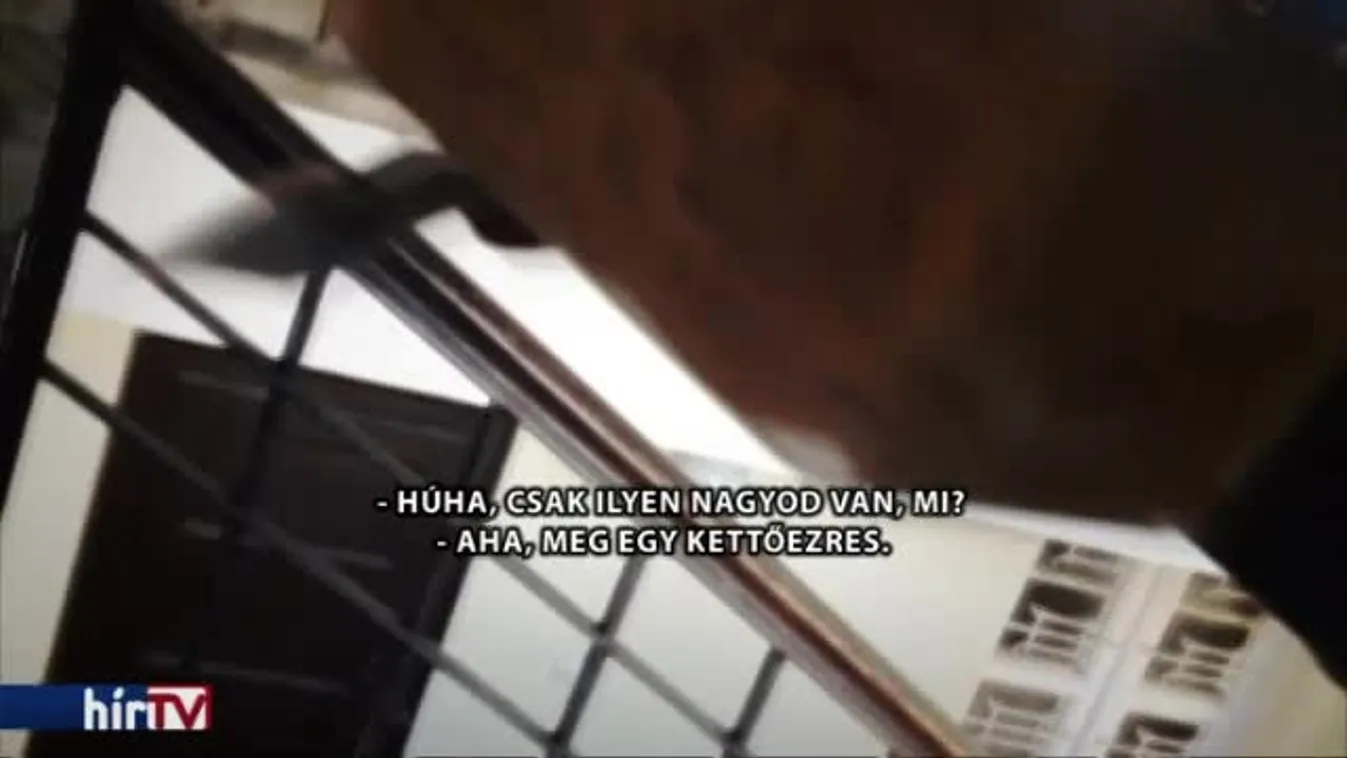 Panaszkönyv – Házhozrendelésteszt