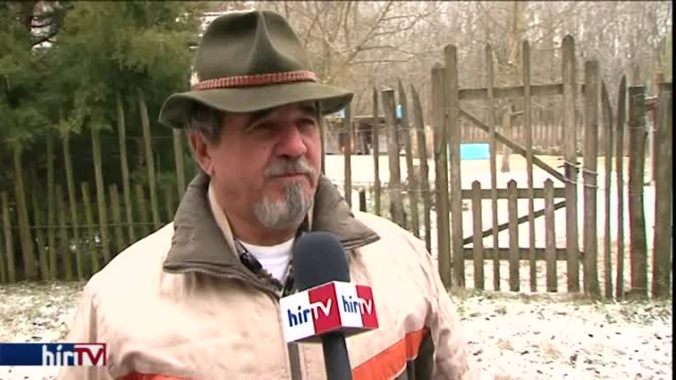 Ők örülnek a hidegnek