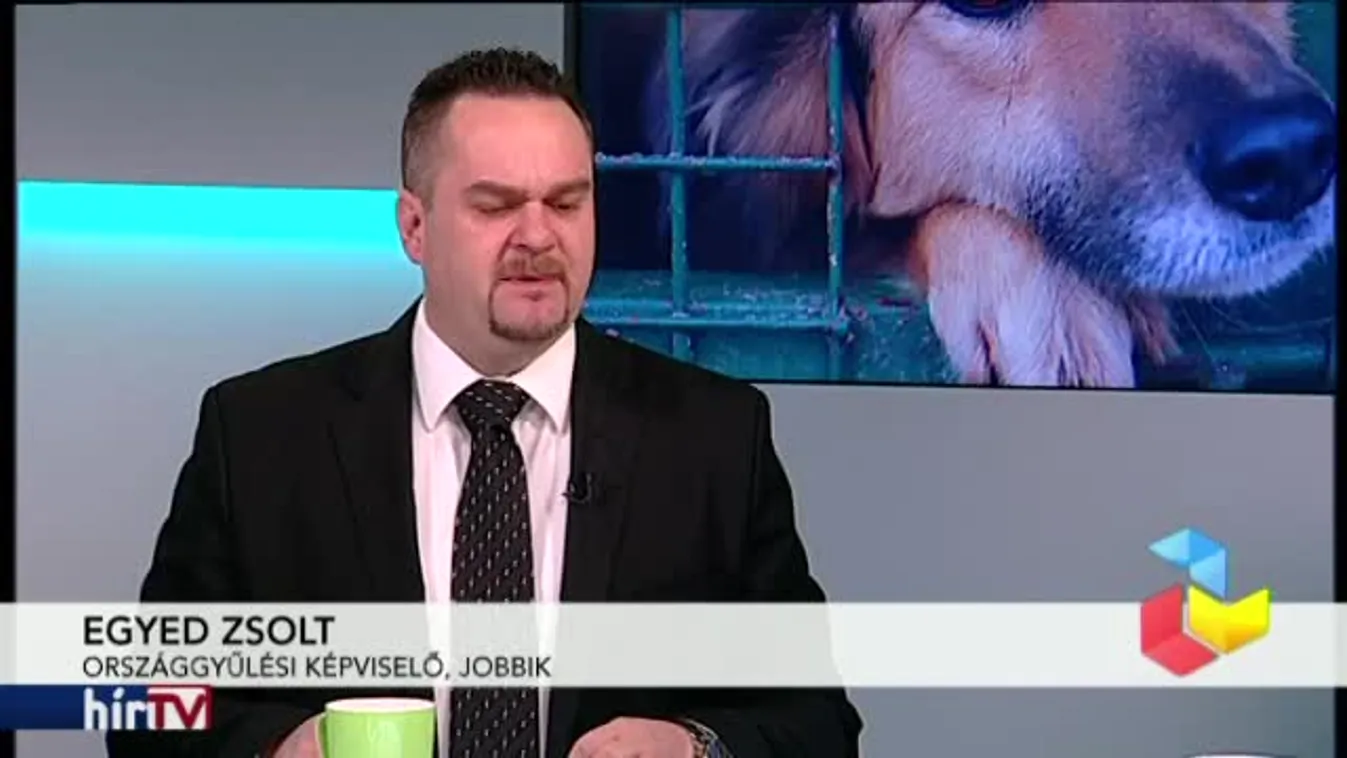 Reggeli járat – Kutyamészárlás: lemondatnák a deteki alpolgármestert