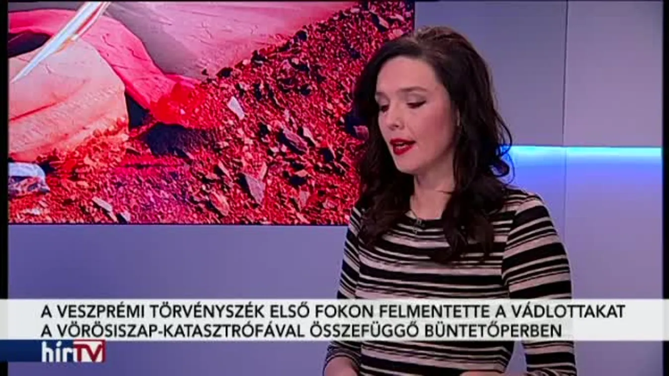 Magyarország élőben - Ítélet a vörösiszapperben