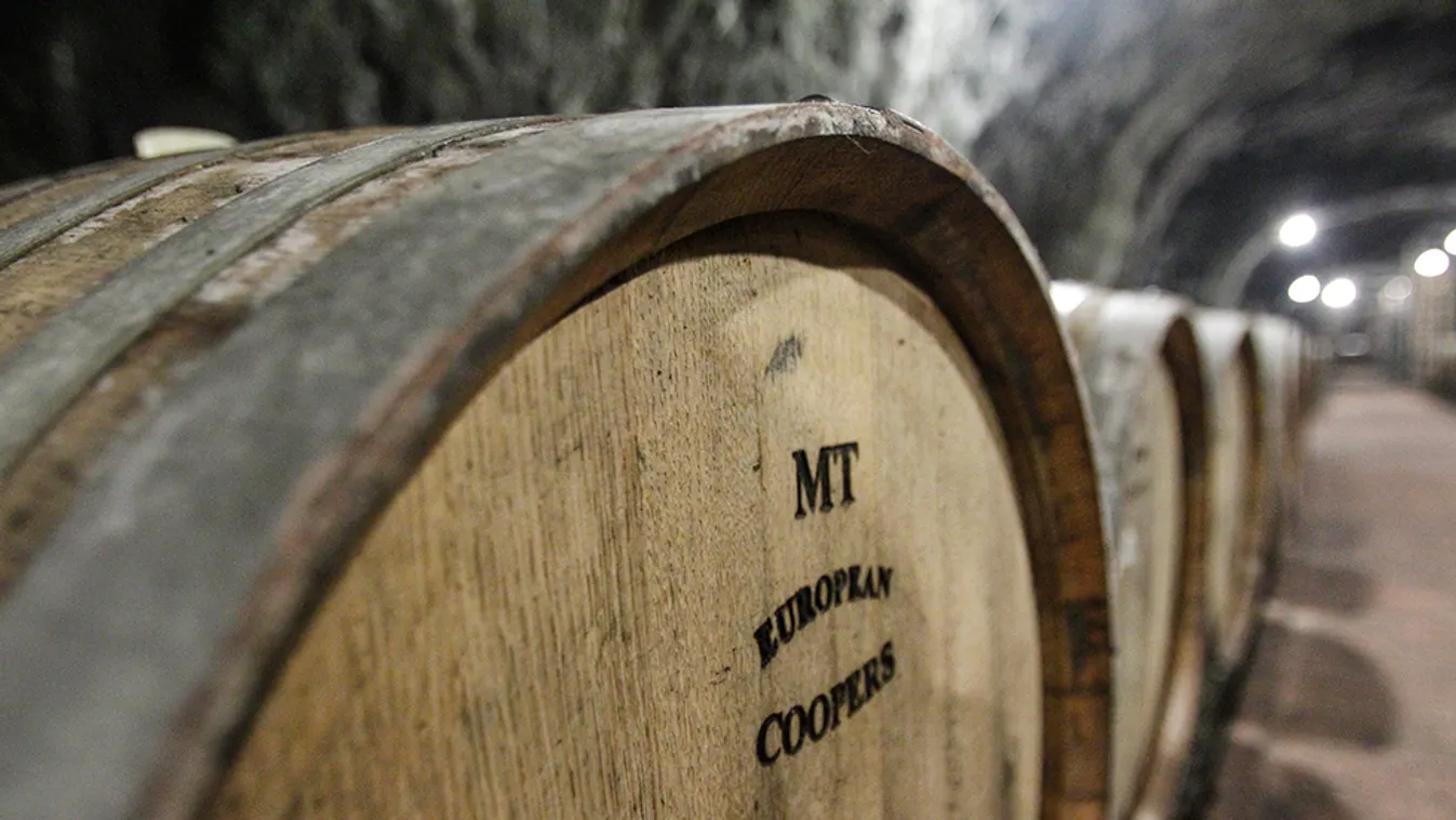 Tanár és borász – Soroló