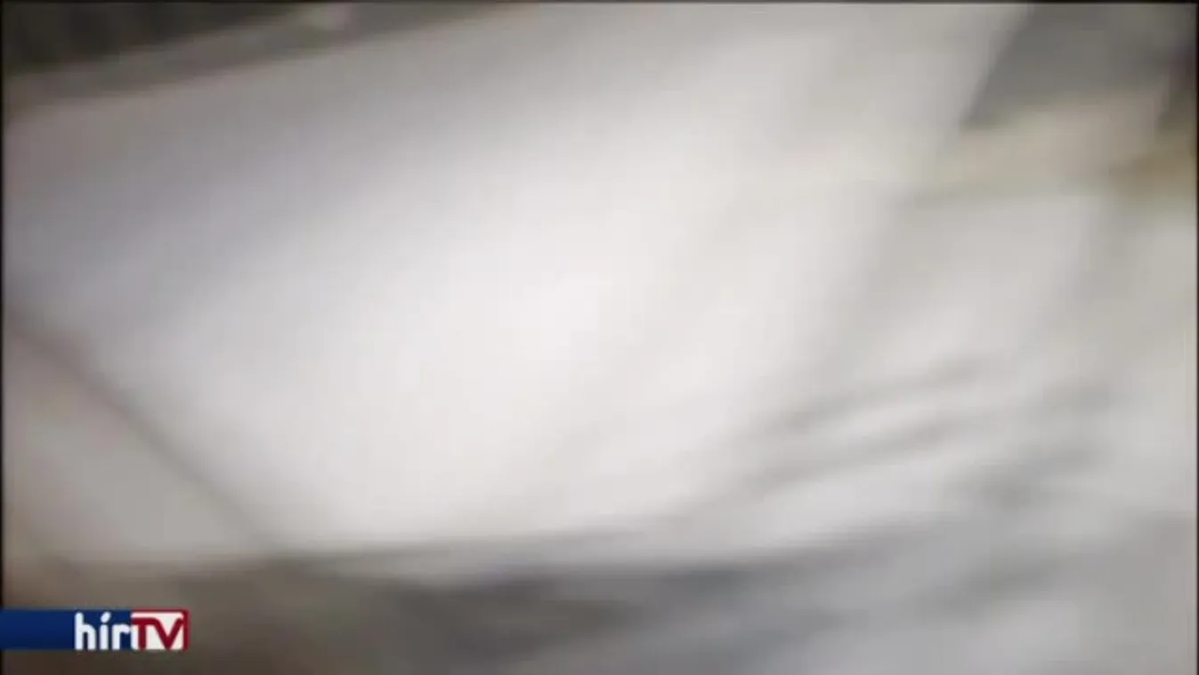 Panaszkönyv – Ügyintézés