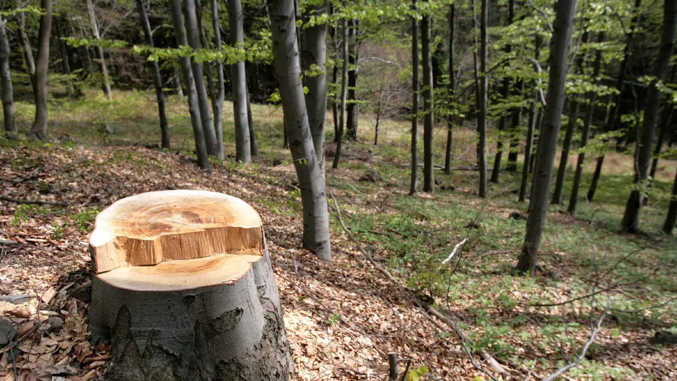 Újabb bürokráciacsökkentési terv, 100&nbsp;ezer embert érinthet