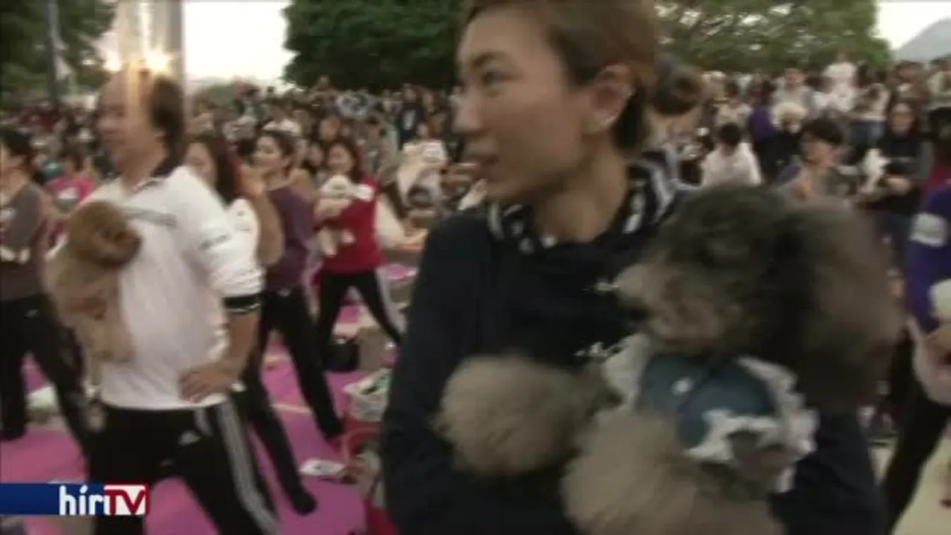 Felfedező – Kutyajó