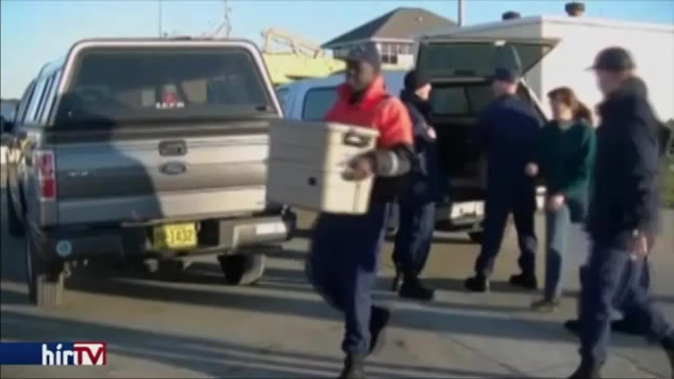 Teknősszabadítás Észak-Karolinában