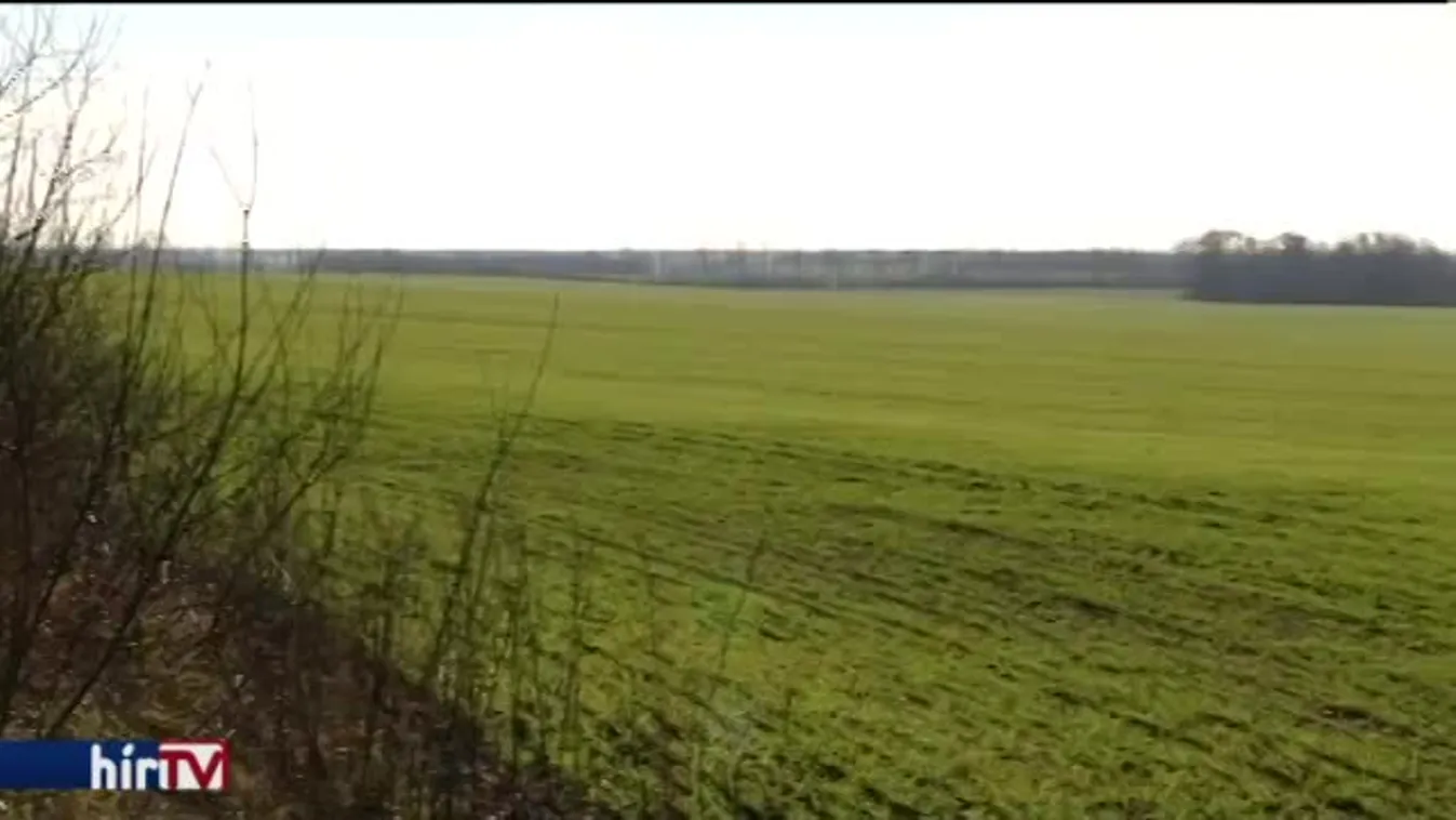 Egyelőre nem vesz több állami földet L. Simon