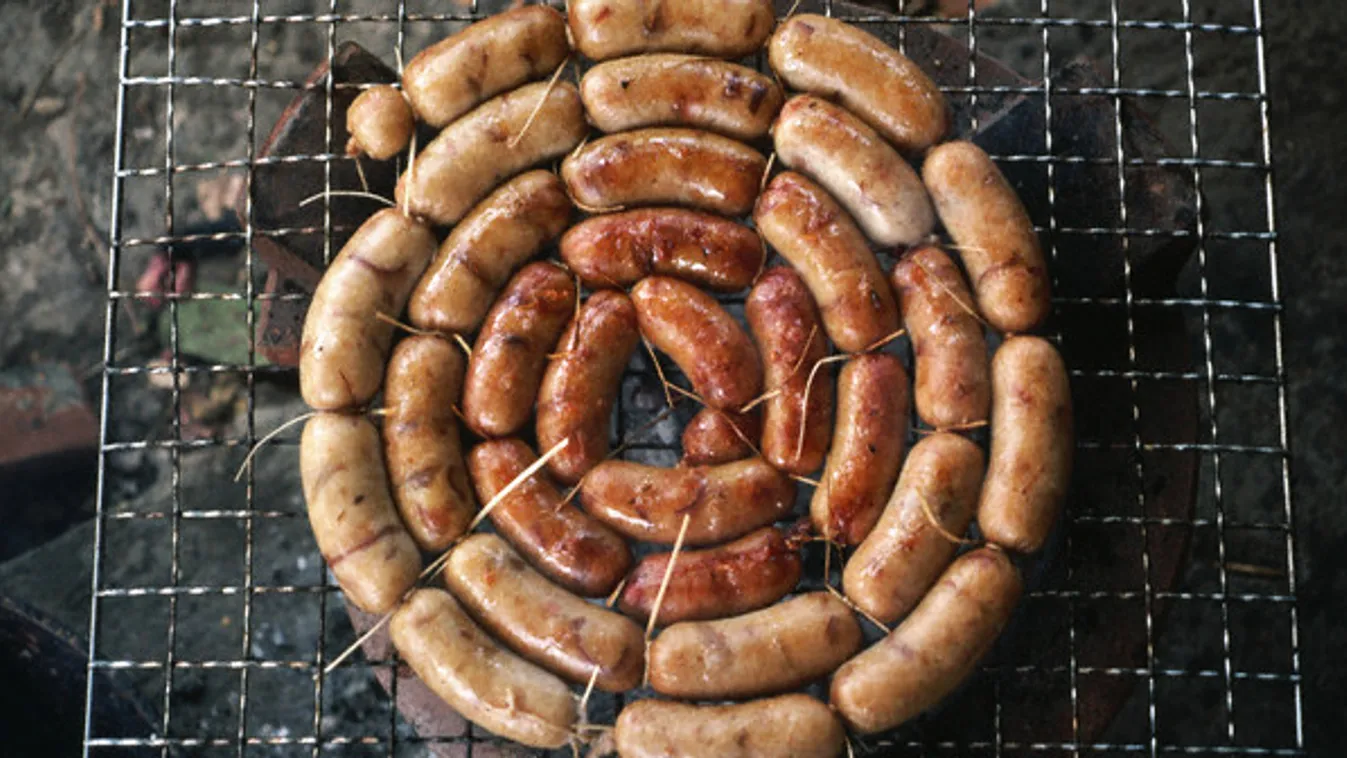 Disznólkodók – Soroló