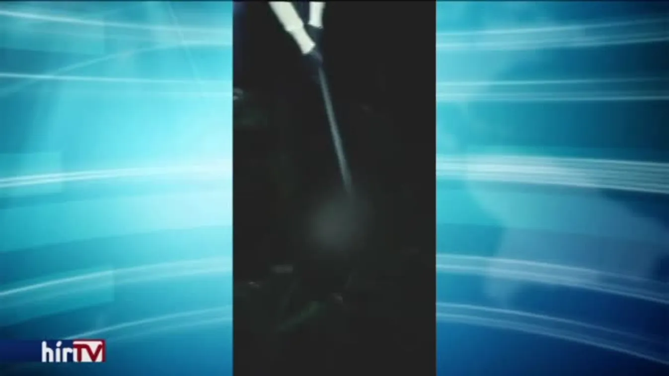 „Kinyírlak!” – Az alpolgármester fia verte agyon a kiskutyát