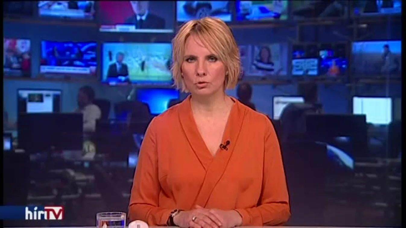 Megölte segítőjét a 15 éves migráns