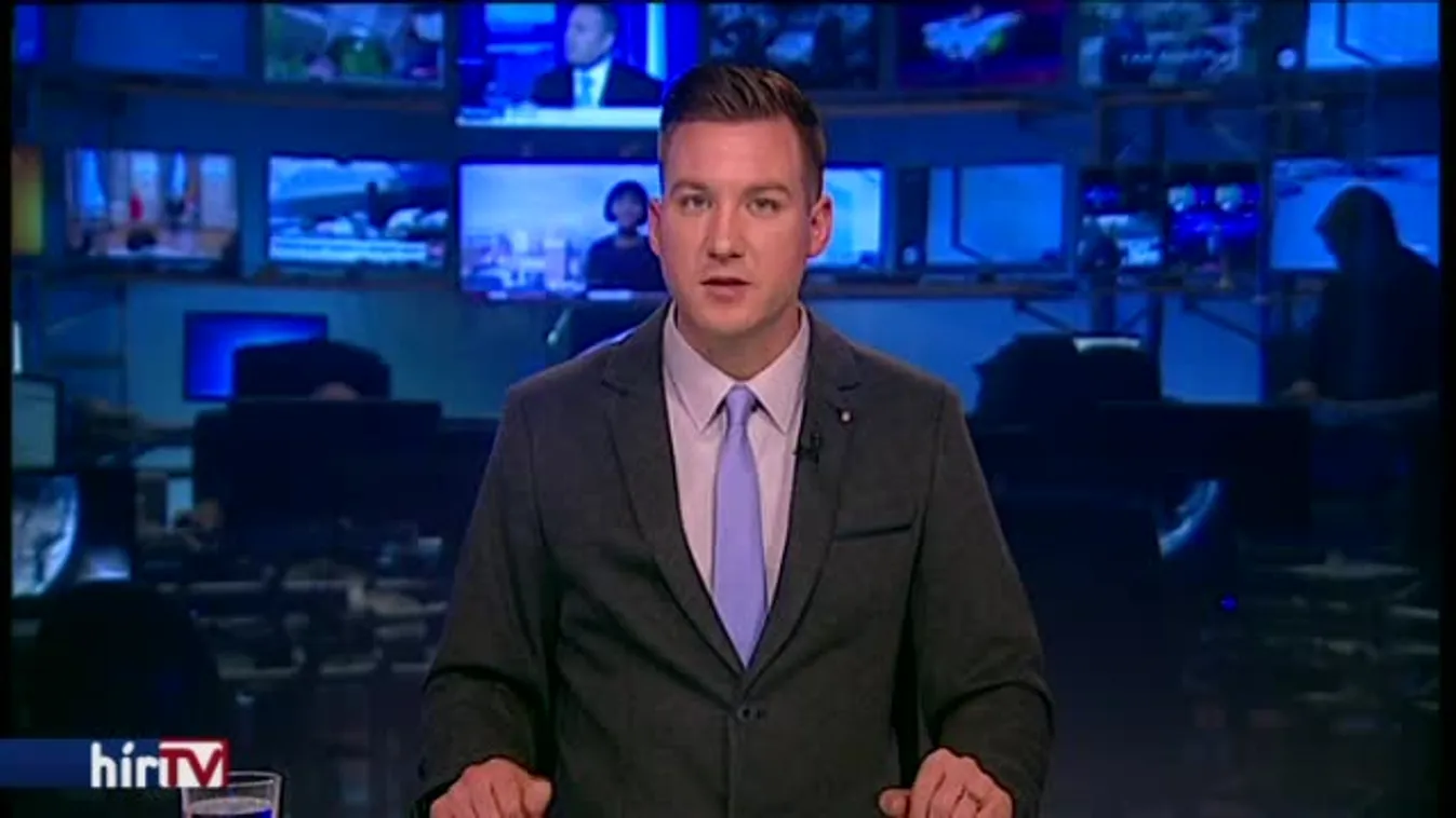 Számba veszik a baglyokat