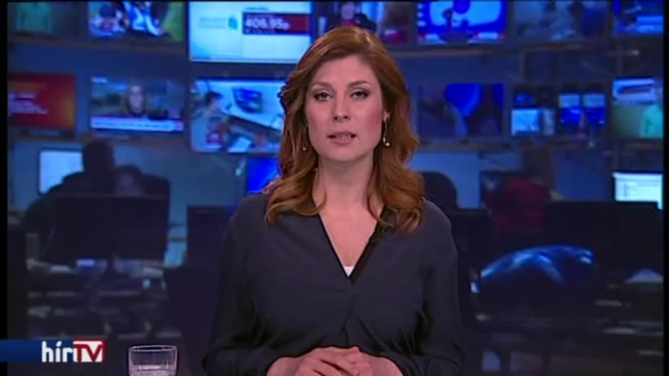 Schmidt: A kiállítás 1956 hősei előtt hajt fejet