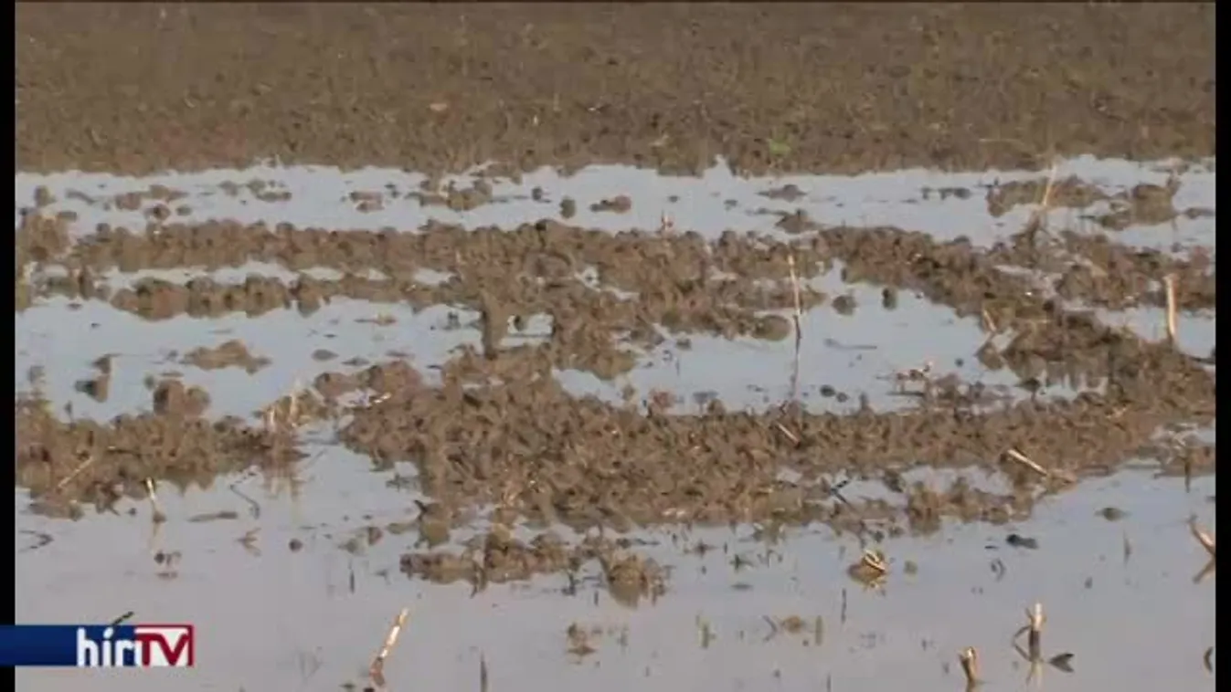 A belvíz helyett az áradások okoznak gondot