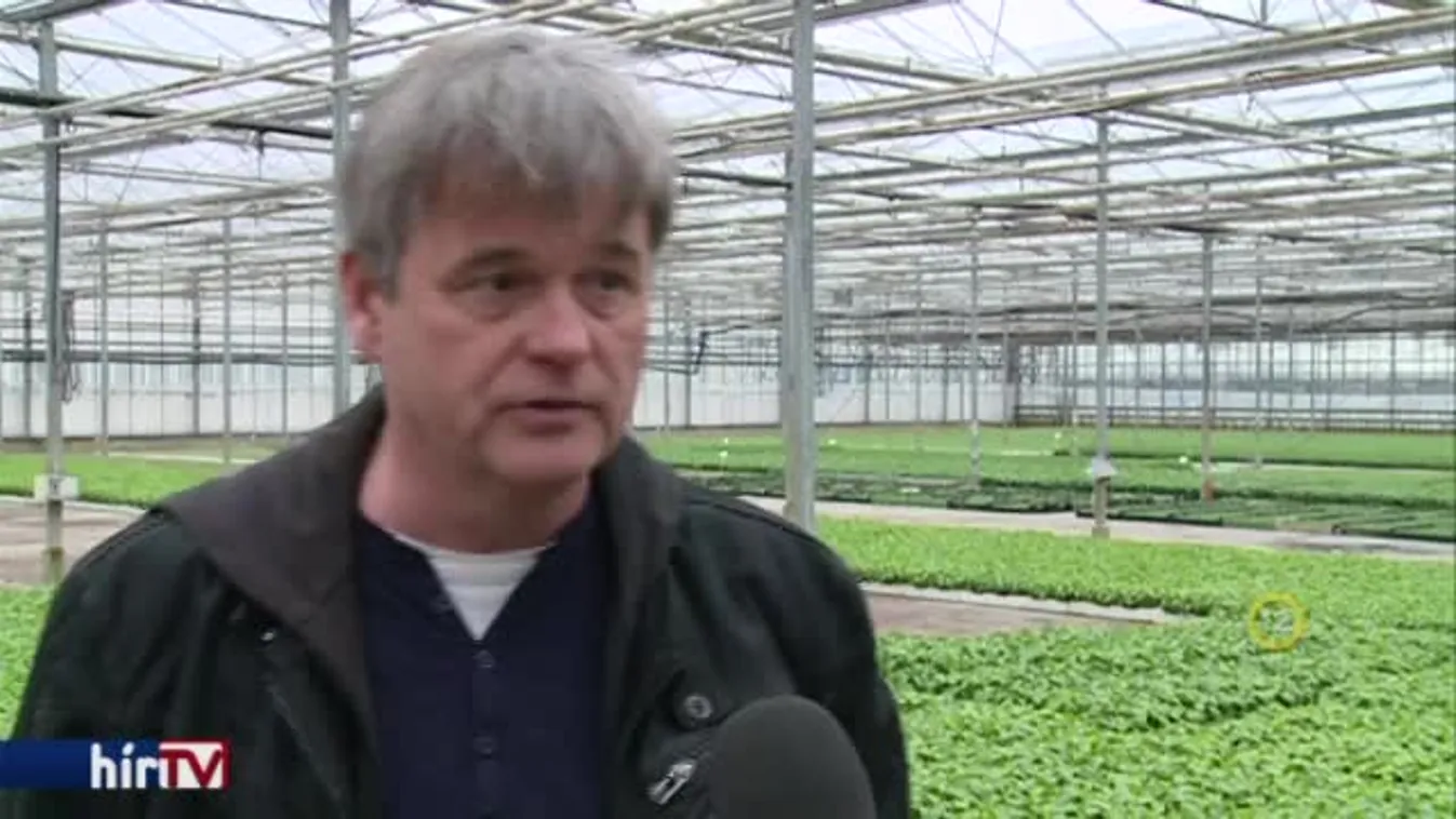 Soroló - Ajaki böllérfesztivál