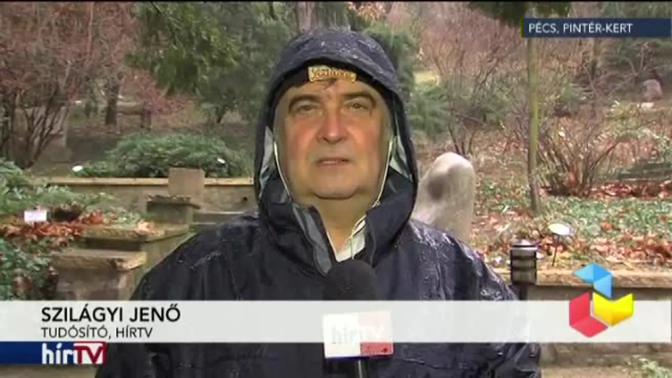 Reggeli járat – Bíróságra kerülhet a hóvirág miatt