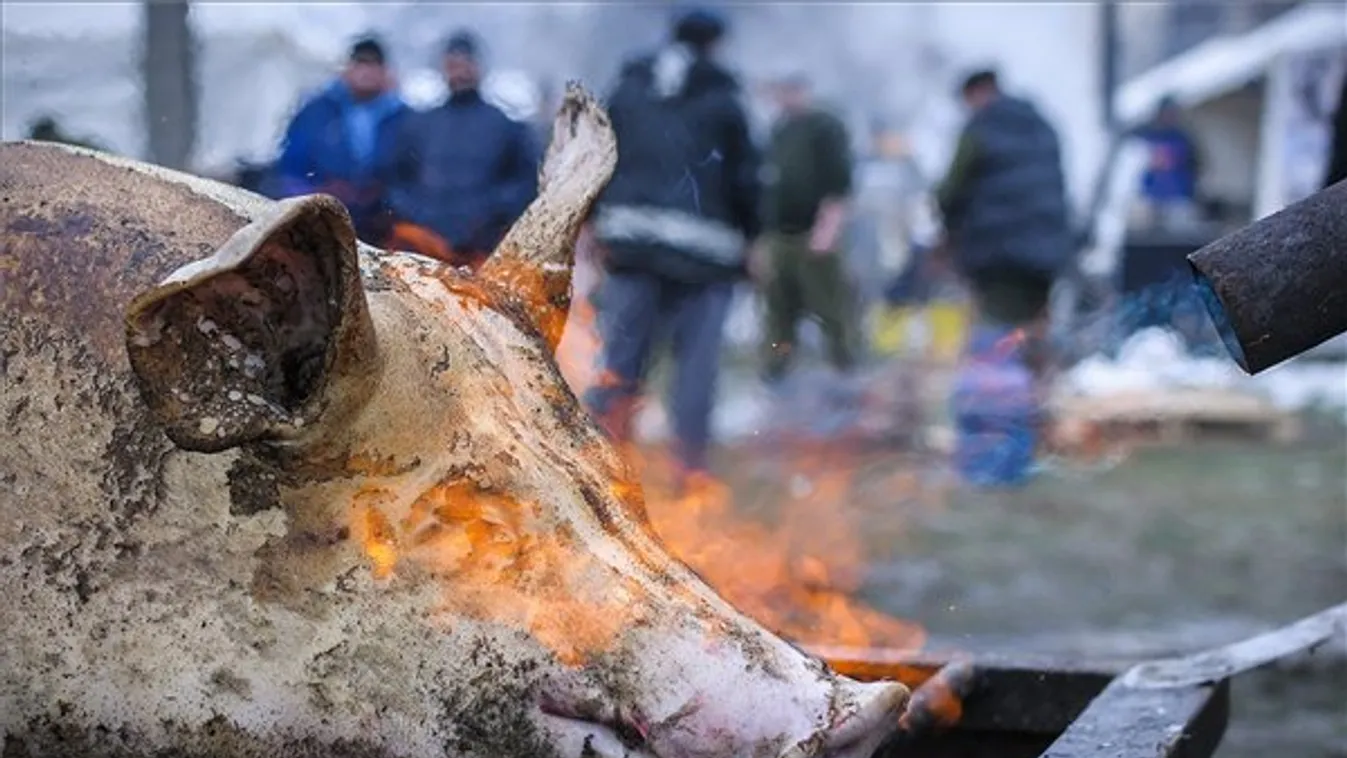 Ajaki böllérfesztivál – Soroló