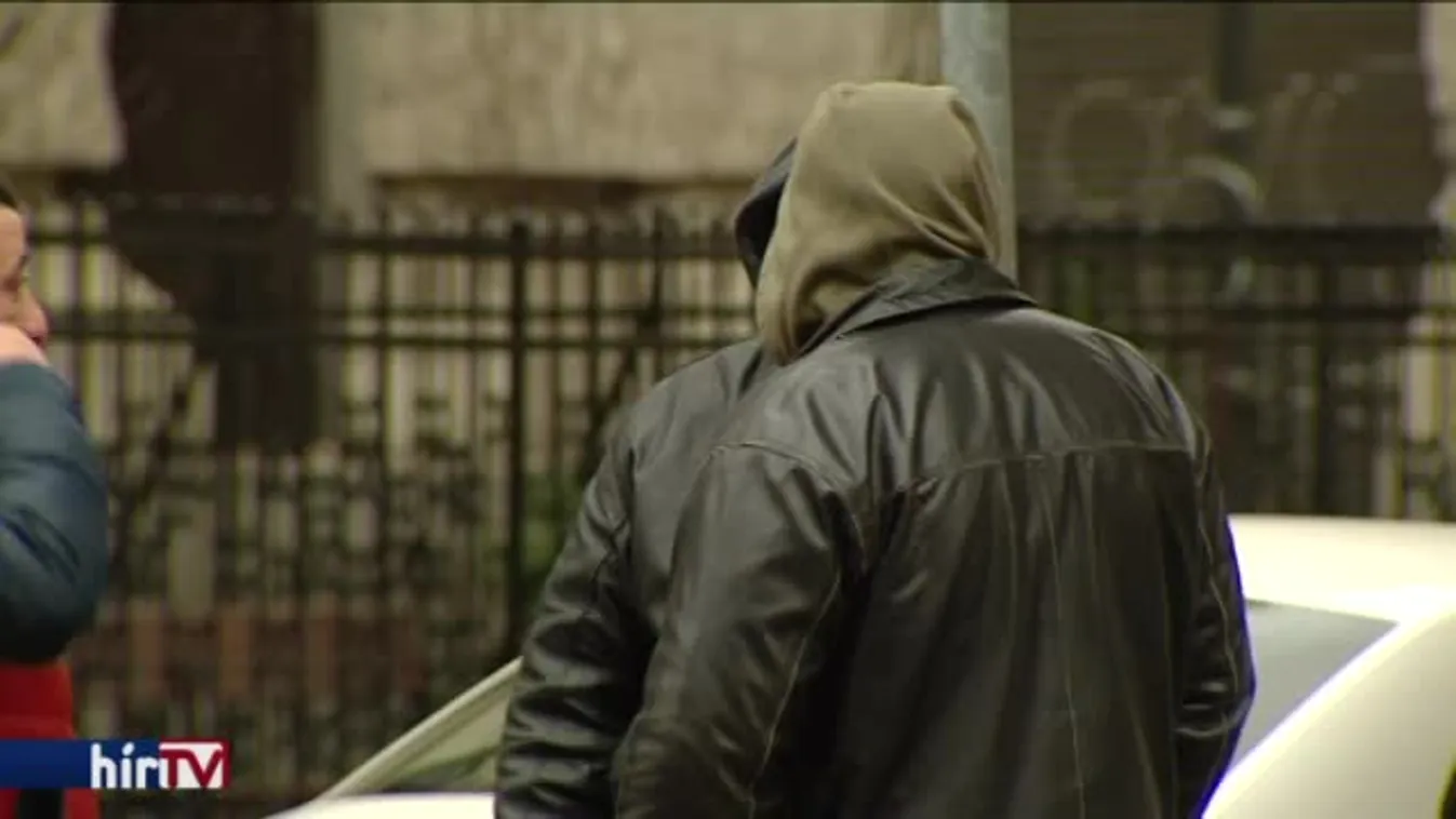 Megelőzték az MSZP-t a népszavazási kérdés benyújtásában