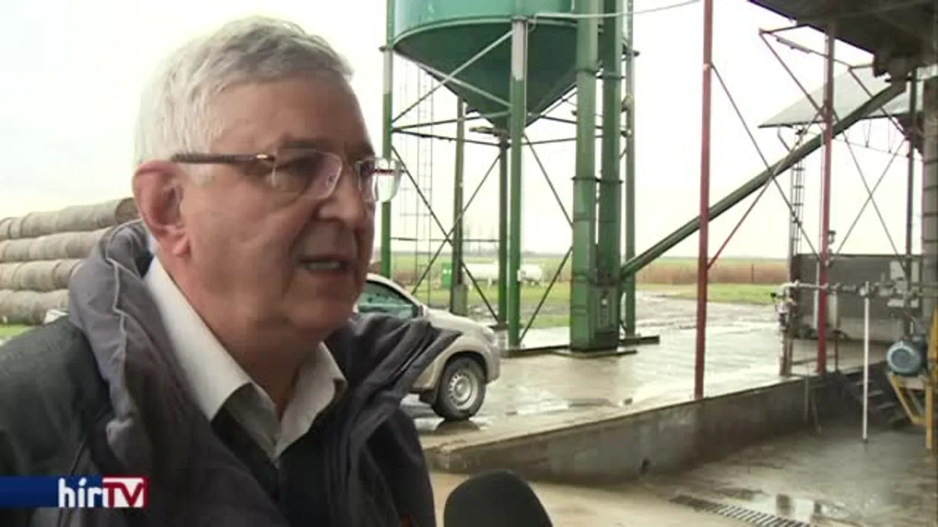 Soroló – Ki nyer és ki nem a pályázaton?